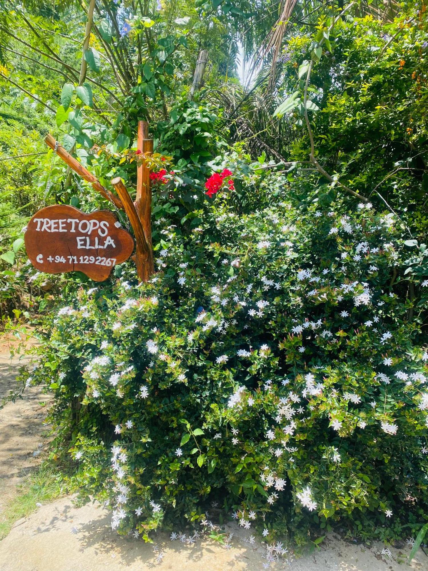 Treetops Ella Exterior photo